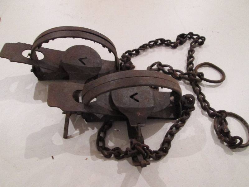 lot 349 image: Wolf Traps
