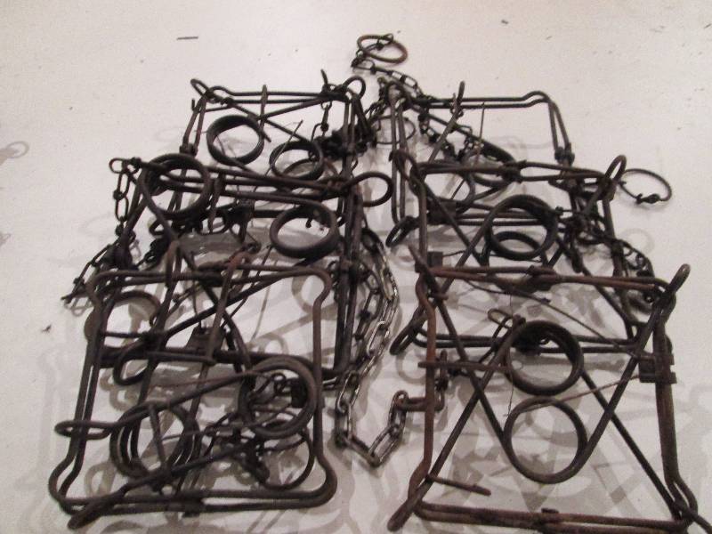 lot 350 image: Beaver Traps