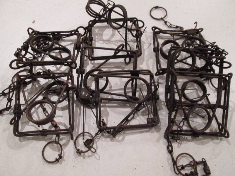 lot 351 image: Muskrat Traps