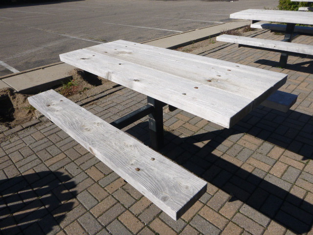 Picnic Table