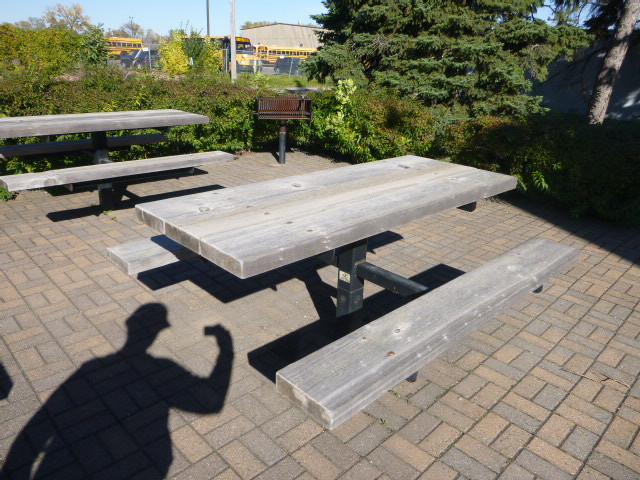 Picnic Table