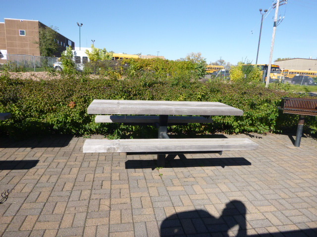 Picnic Table
