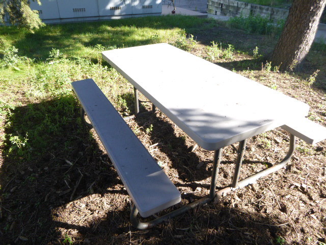 Plastic Picnic Table