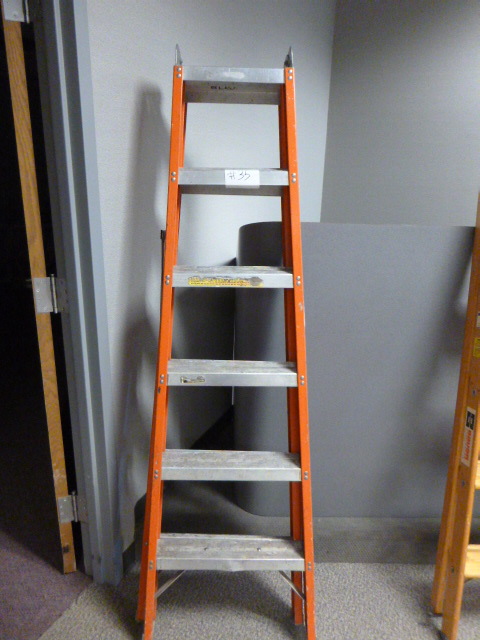 6 Foot Ladder