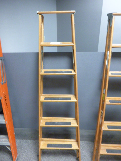 6 Foot Ladder
