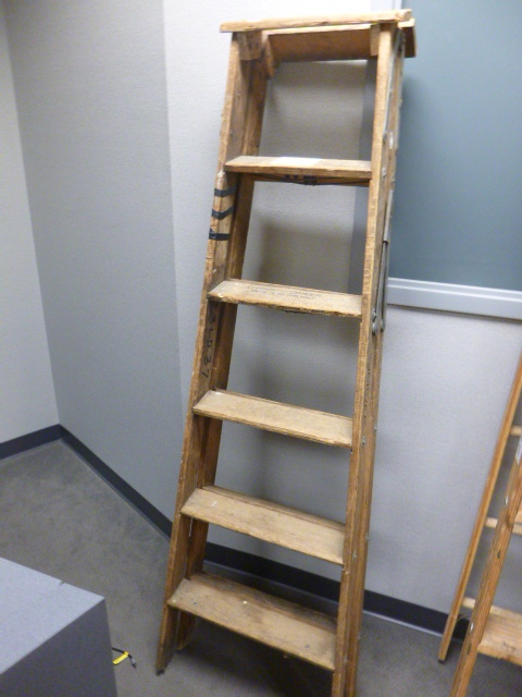 6 Foot Ladder