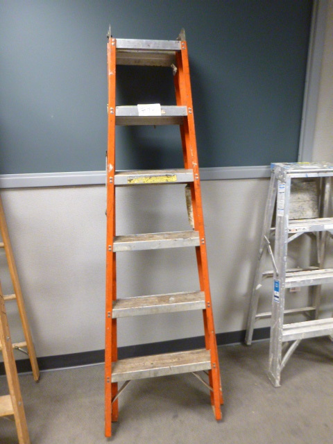 6 Foot Ladder