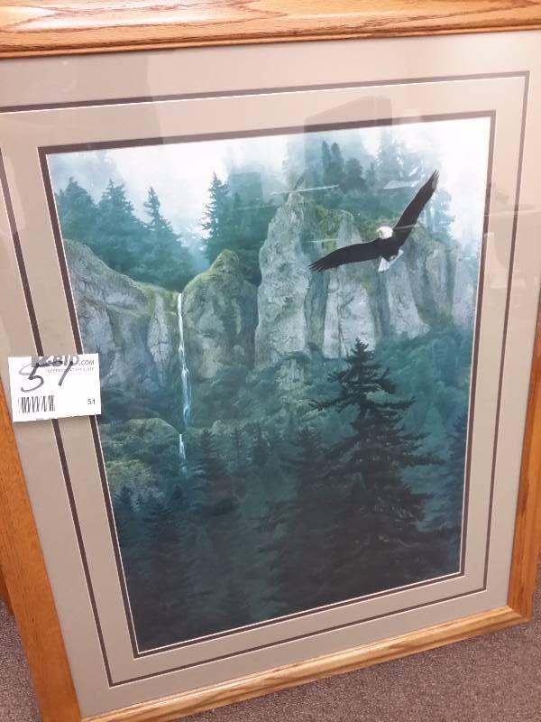 Nice Eagle by the cliff picture