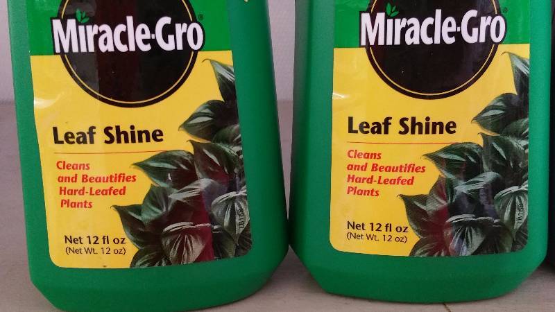 (8) Bottles of Miracle Grow Leaf Shine & African Violet Plant Foot