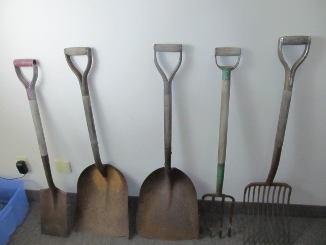 lot 171 image: Group of ShovelsRakes etc