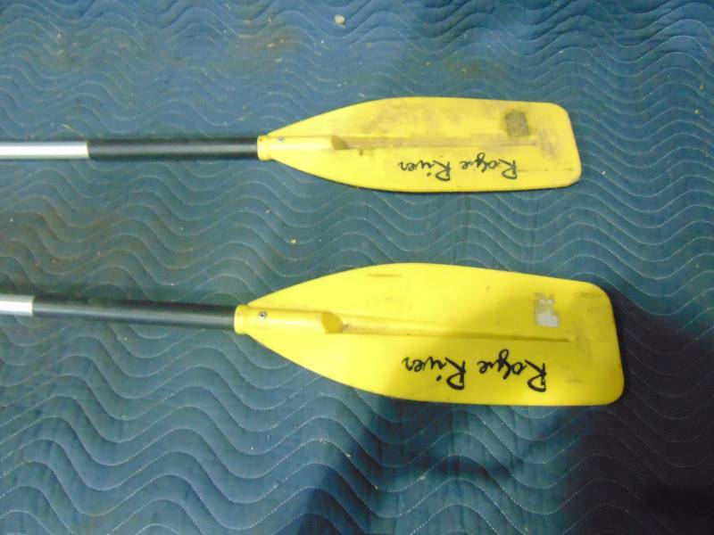 lot 8 image: (2) Paddles