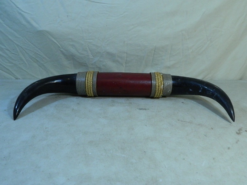 lot 23 image: Horns