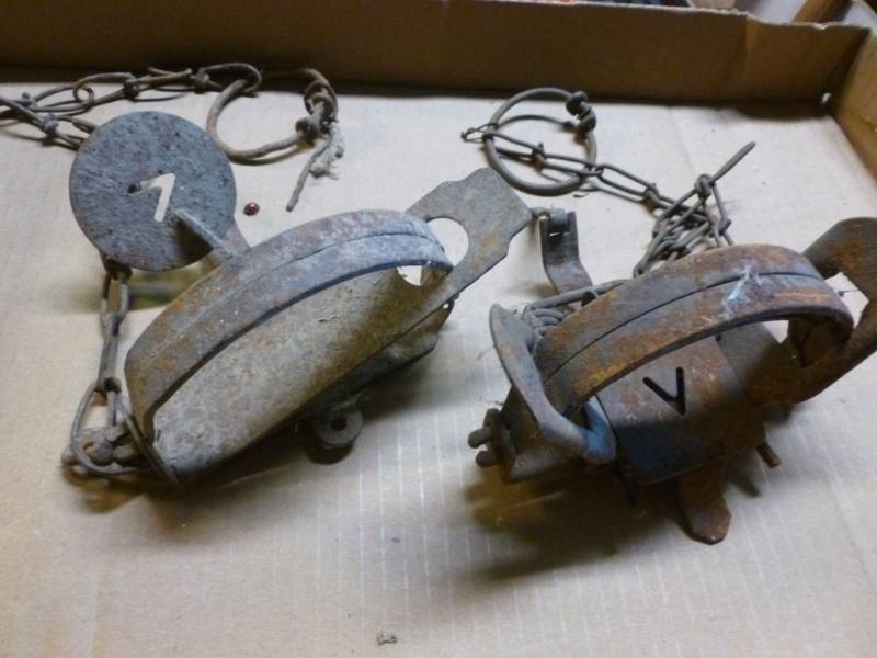 lot 35 image: Vintage Traps