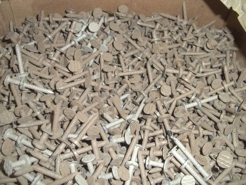 20 Pounds of Roofing Ring shank Nails