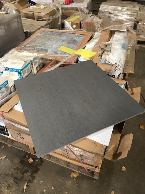Patheon Endure Tile & SpectraLock Grout