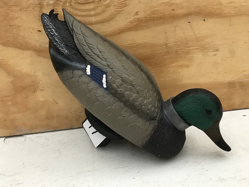 lot 17 image: Quivering Duck Decoy