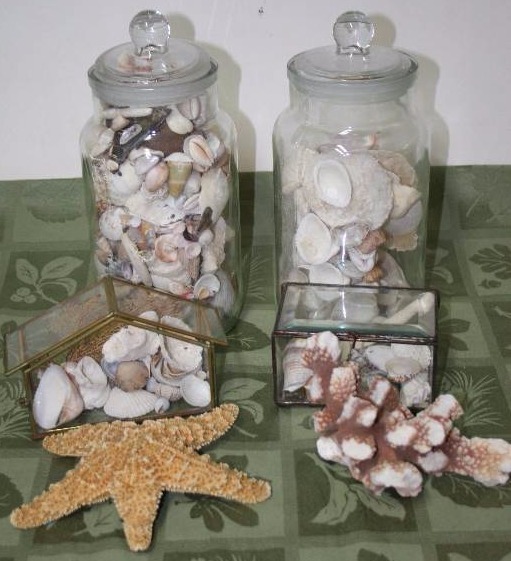 lot 56 image: Beach Themed Home Dcor
