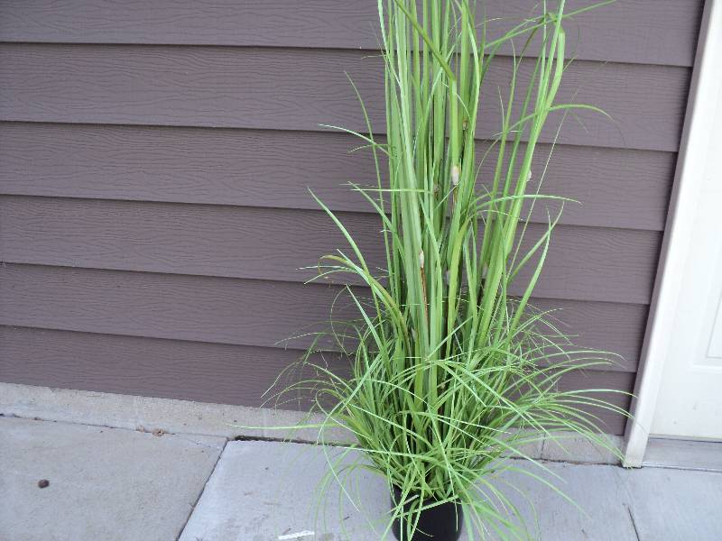 lot 38 image: artificial plant, 70in high...