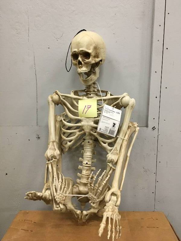 lot 17 image: Home Accents Holidays Halloween 5 Ft. Poseable Skeleton