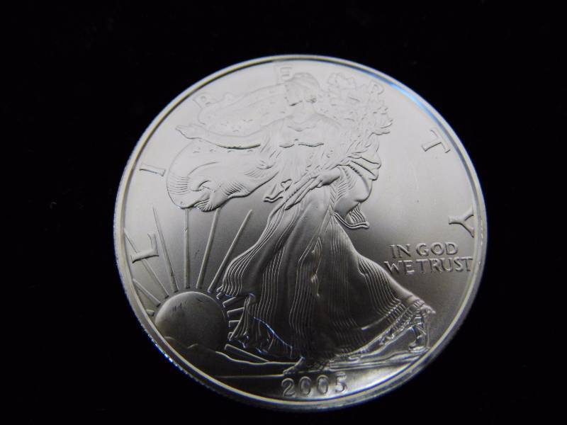 2005 1 Ounce Silver Coin
