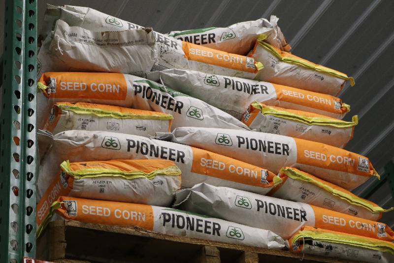 lot 41 image: Bags of Pioneer Seed Corn