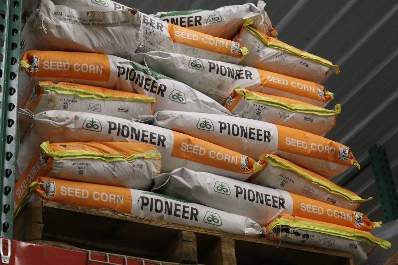 lot 42 image: Bags of Pioneer Seed Corn