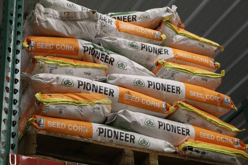 lot 44 image: Bags of Pioneer Seed Corn