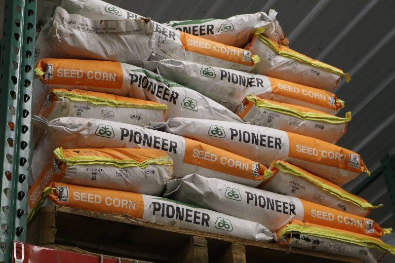 lot 45 image: Bags of Pioneer Seed Corn