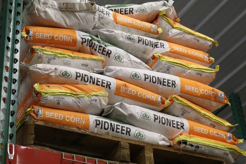 lot 47 image: Bags of Pioneer Seed Corn