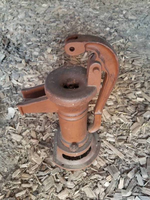 lot 210 image: Cistrin Pump