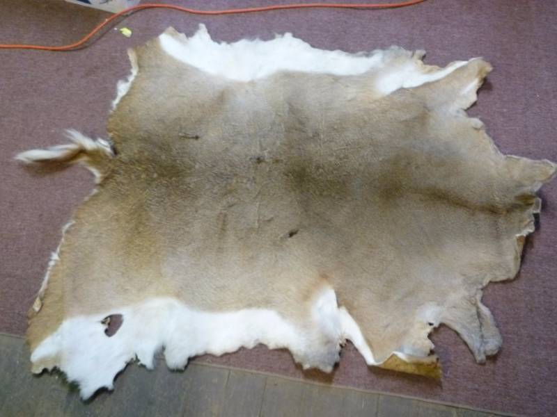 Deer Hide