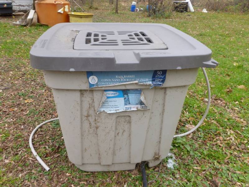 Rain Barrel