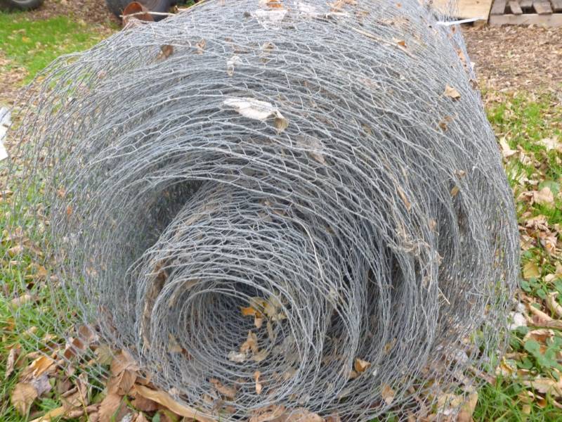 Chicken Wire