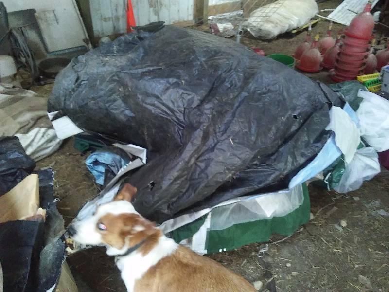 Tarps and canopies.