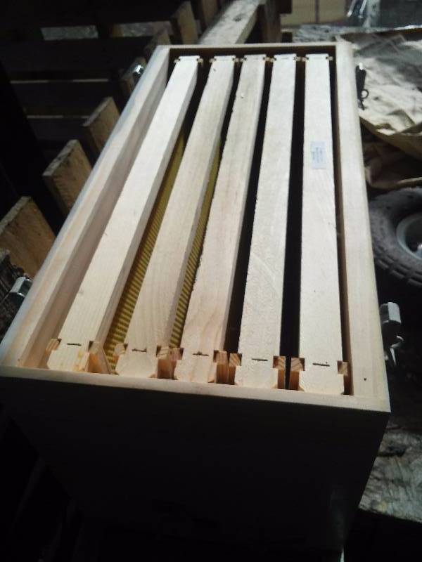 Honey Bee Boxes. New with combs