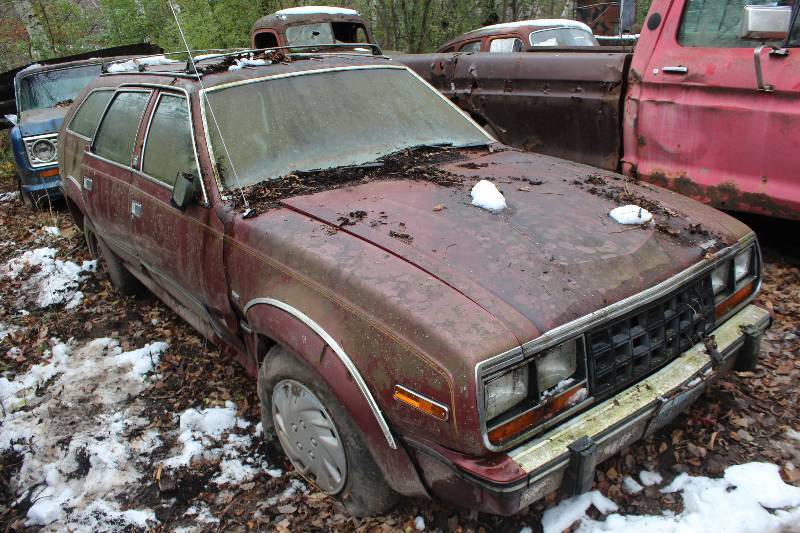 lot 17 image: 1985 American Eagle