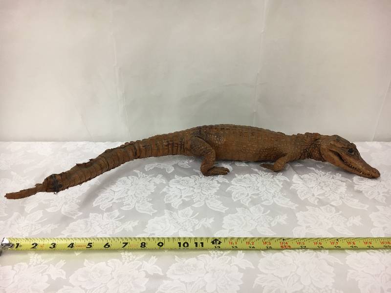 lot 3 image: Mounted Crock Skin