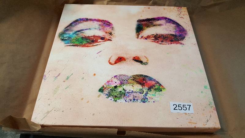 lot 2557 image: Trademark Fine Art Mark Ashkenazi Marilyn Monroe Canvas Wall Art