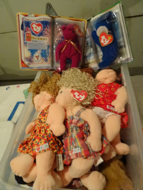 15 Qt bin full of TY beanie babies....