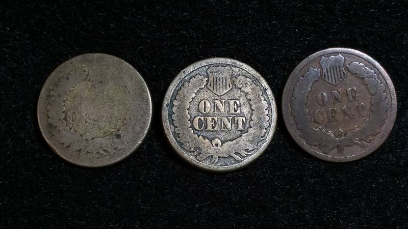 (3) Indian Head Cents