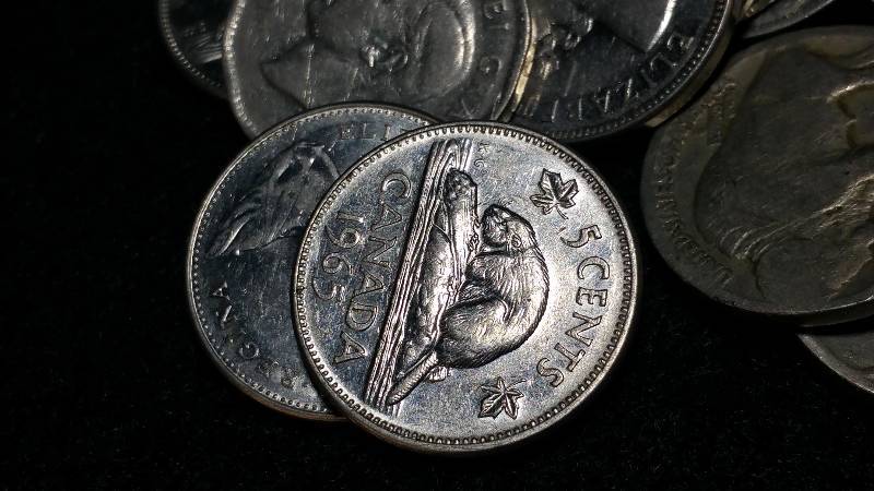 Older Canadian Nickels & Buffalo Nickels