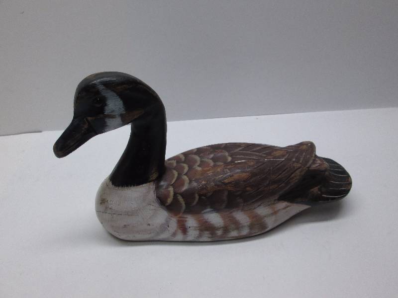 Wood Duck Display