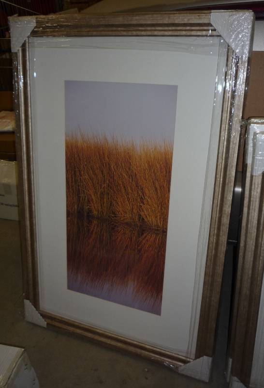 2 new grass pictures, framed, glass...