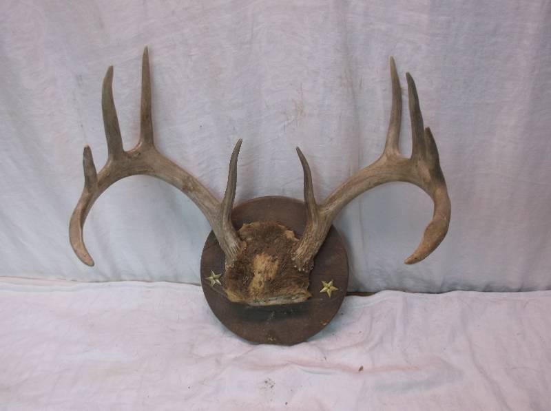 Deer Rack