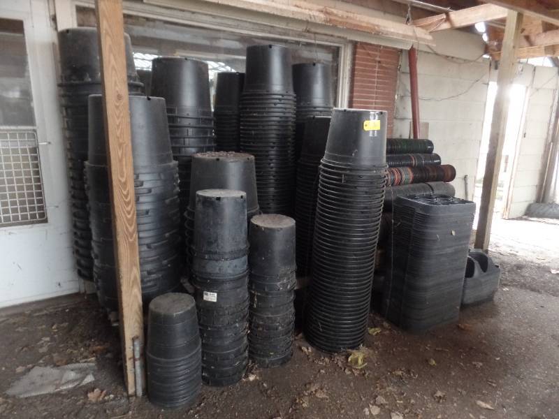 lot 970 image: MASSIVE PLASTIC POTS