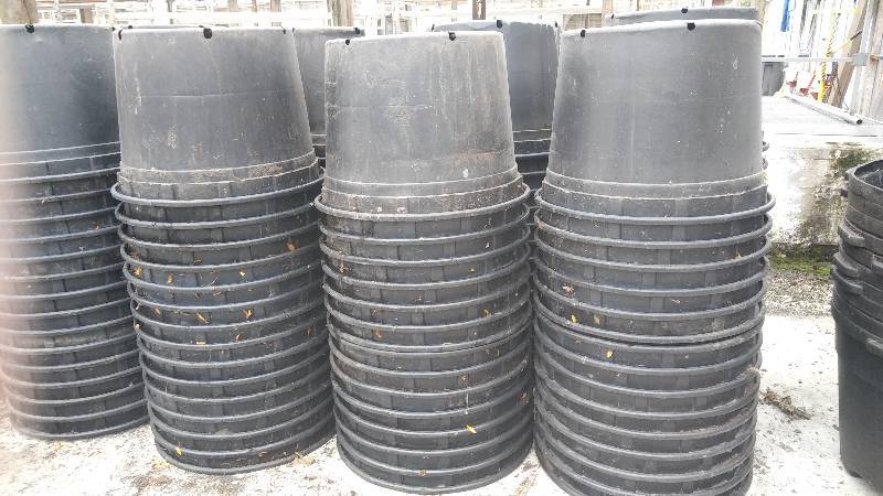 lot 973 image: EXTRA LARGE PLASTIC POTS