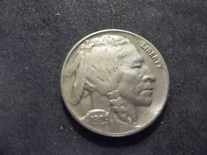 1929 D Buffalo Nickel