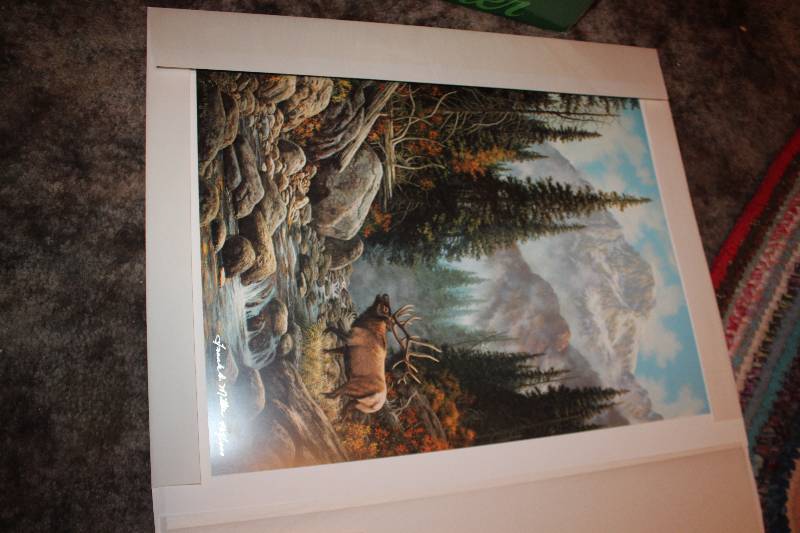 lot 151 image: Autumn Song by Frank D. Miller #4841000 Signed Numbered Framed Matted Wall Art w Certificate of Authenticity