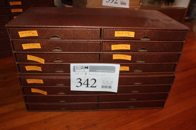 lot 342 image: Lot of (10) Call Of The Wilderness Decorative Collectors Plates w Certificates