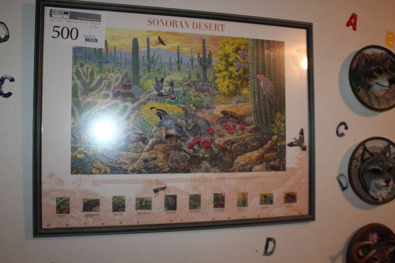 lot 500 image: Sonoran Desert Animals Framed Wall Art